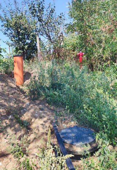 Loc de casa si teren cultivat cu vita de vie 1,28 Ha Sant... - 13