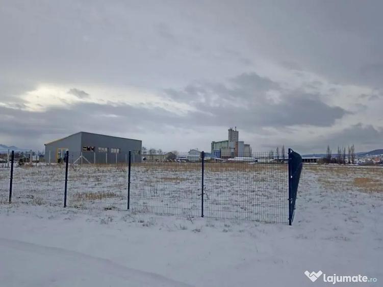 VANZARE Teren Industrial Codlea - PUZ Hale/Service 1850mp - 6