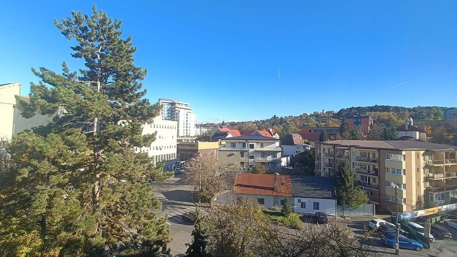 Apartament cu 2 dormitoare in Plopilor - 9