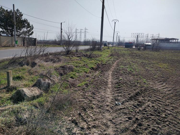 Frumusani.deschidere la dn4 5000mp.proprietat - 4