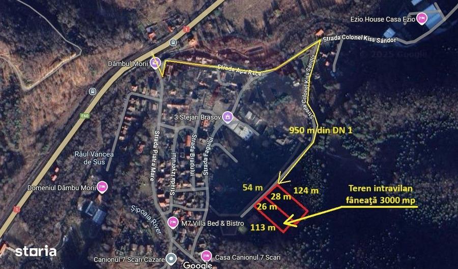 Teren intravilan, 3000 mp, Dambu Morii - 9
