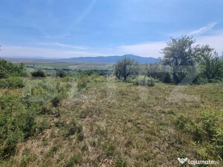 Teren in Vulcan pentru casa de vacanta - panorama catre Munt - 1