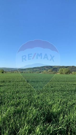 PUZ aprobat | Complex Agroturistic, Unități de Cazare, Restaurant - 9