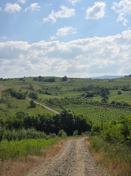 Casa de vanzare la sosea in Girbovat, langa Bozovici, 5 camere - 12