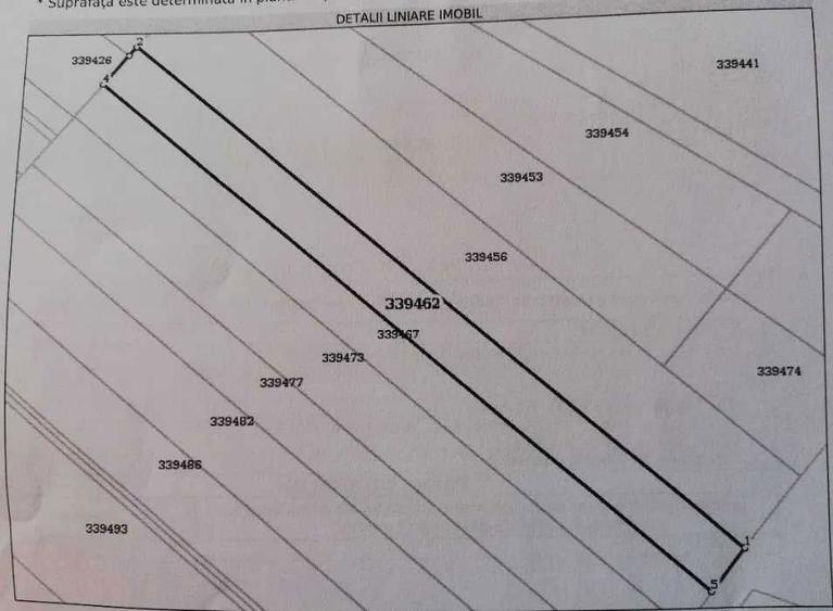 Vand teren extravilan Arad - 2