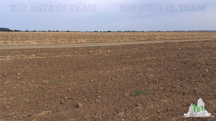 Oferim spre vanzare 6 loturi de teren extravilan (agricol) in Petrachioaia ILFOV - 9