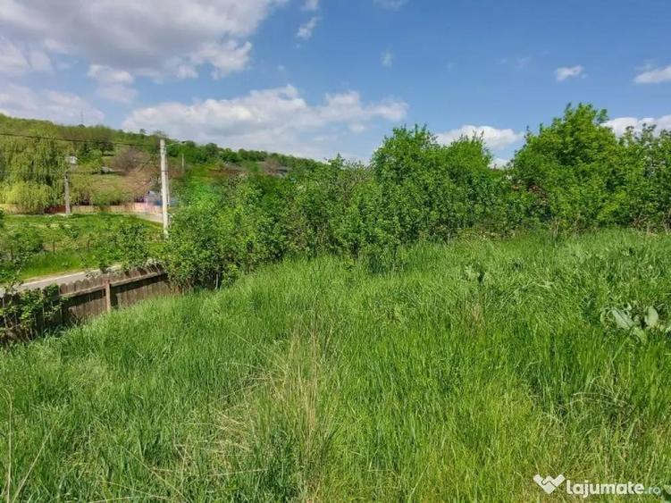 Teren intravilan 1490 MP Bratuleni Miroslava - 3
