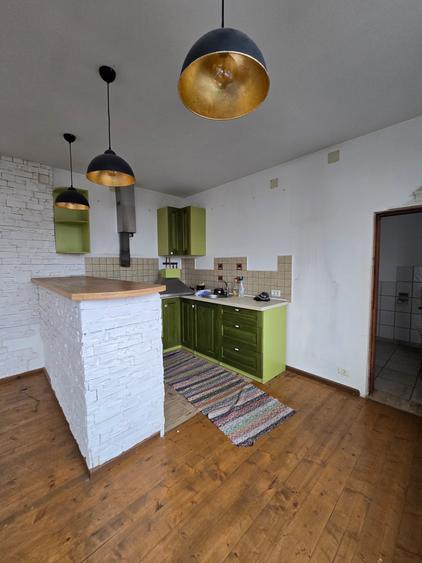 Mosnita Veche- Vila 2 apartamente- Teren 1100 mp - 1