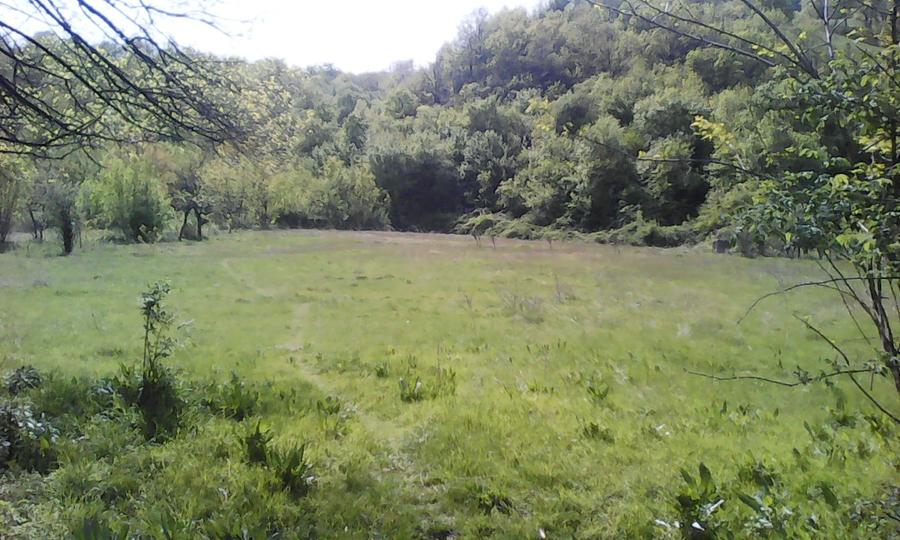 Inchiriez la Centura București 5000m - 1