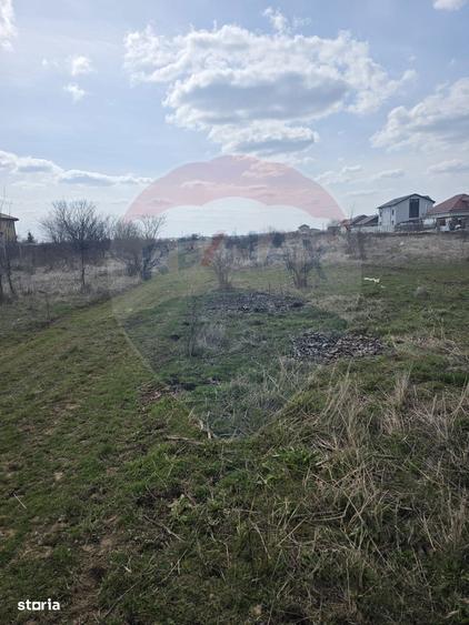 Loturi teren 500 /1000 mp Dumbraveni Balotesti utilitati - 1