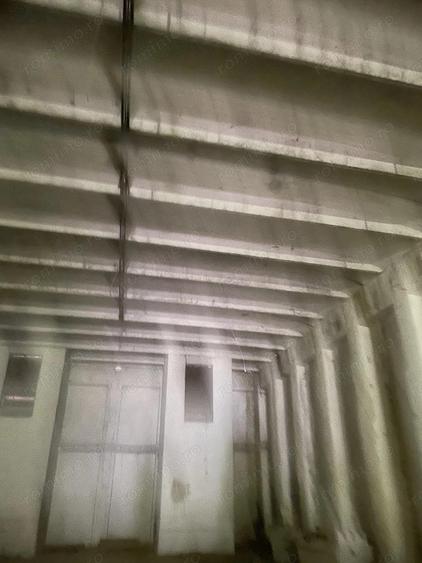 Vanzare proprietate industriala Roman - 4