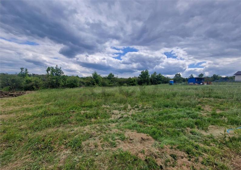 RECO teren intravilan Saldabagiu de Munte - 2