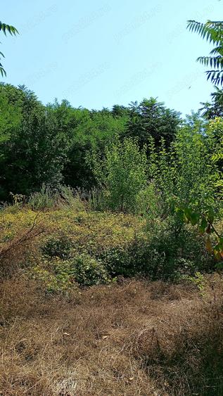 Casa demolabila cu teren 2500 mp sat Plevna com Lup?anu Calara?i apa curent 12000 Euro variante - 5