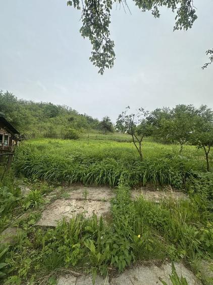 Casa, anexa si teren intravilan - 1