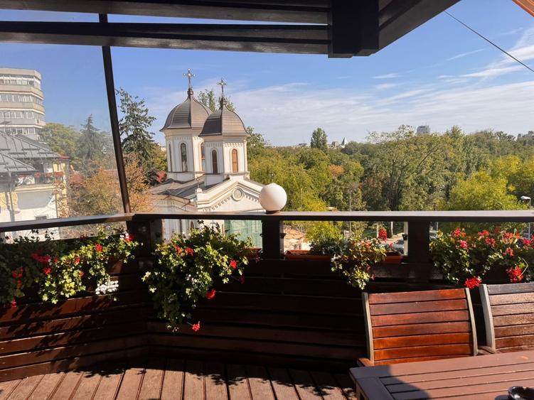 Cismigiu, priveliste superba,  vila consolidata si renovata total. - 3