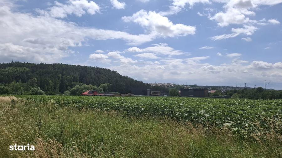 Teren de 5000sqm in mediul rural cu utilita?i - 3