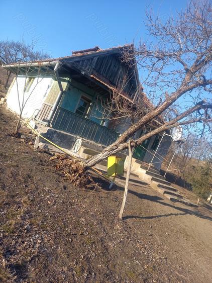 casa la tara de vanzare - 1