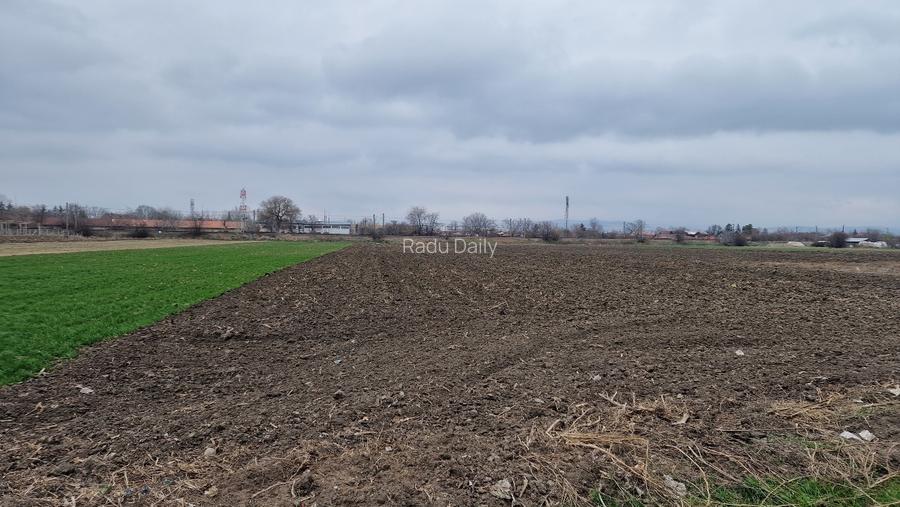 Teren intravilan 5.002 mp, utilități, asfalt, Mizil – 70.000 € (negociabil)