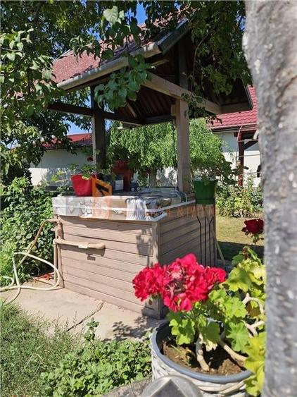 Casa tip parter + beci si teren 4684 mp in Candesti, Vernesti - 14