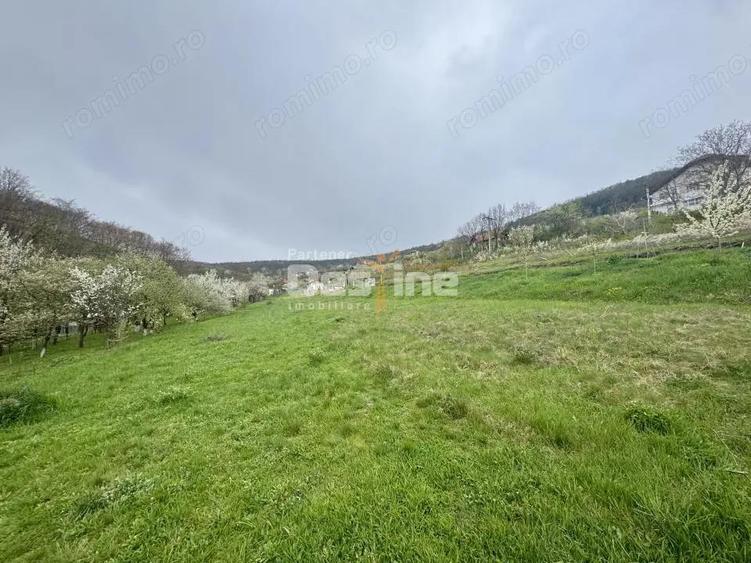 Teren intravilan Deva- Roci - 2