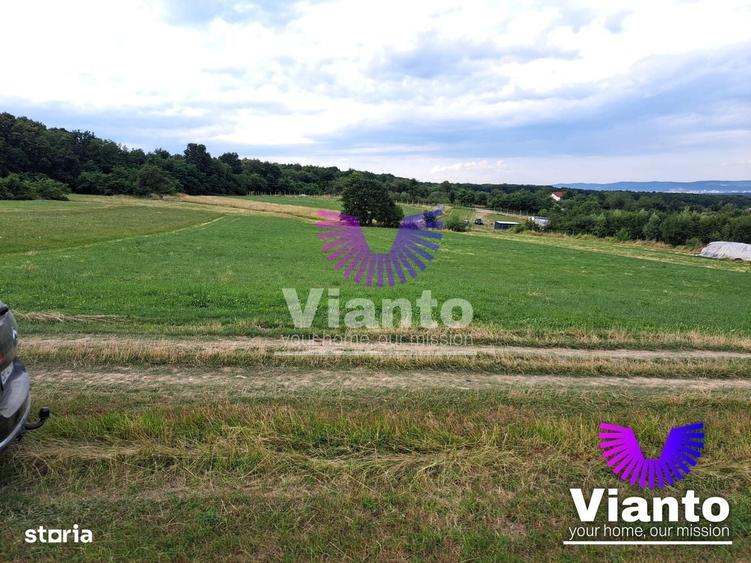 Oportunitate-Teren Extravilan 3100 mp cu vedere Panoramica-Tropinii No - 7