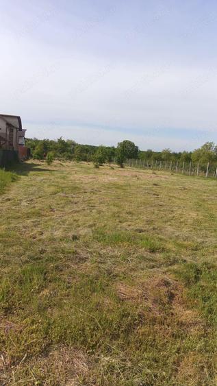 Tautii Magheraus, parcela 550 mp,strada 61, la doar 3300 euro ar. - 6