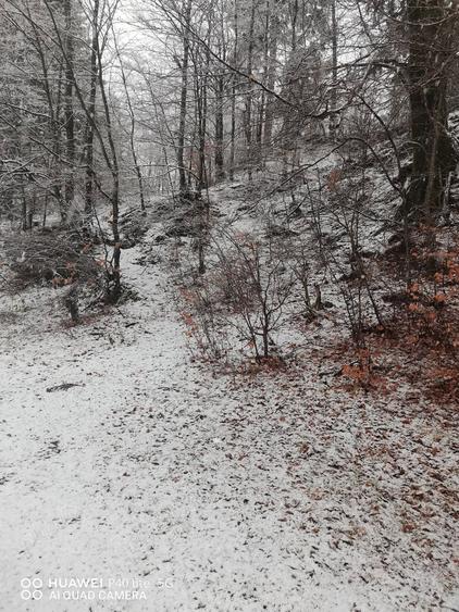 Teren intravilan situat in Busteni - 2