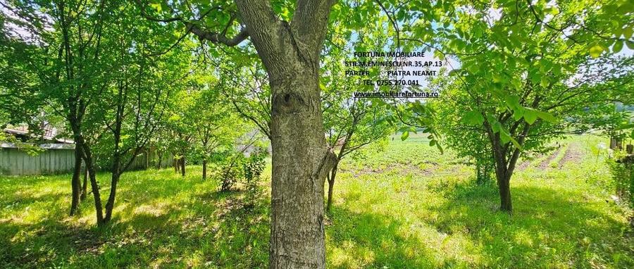 Proprietate com.Bodesti, casa + anexe + teren 7481 mp - 4