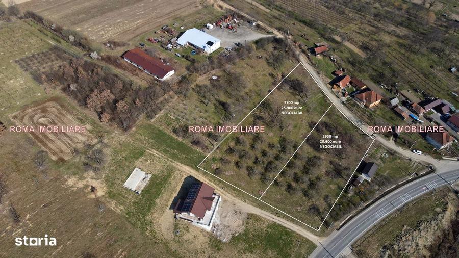 Teren intravilan Berchez 3700 mp+ 2950 mp Utilita?i 700/ar NEGOCIABIL - 3