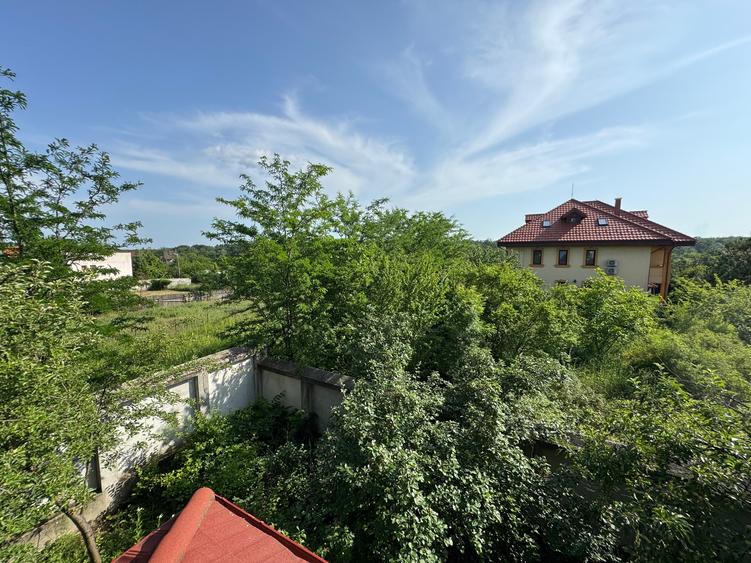 Branesti Calea Bucuresti - 23