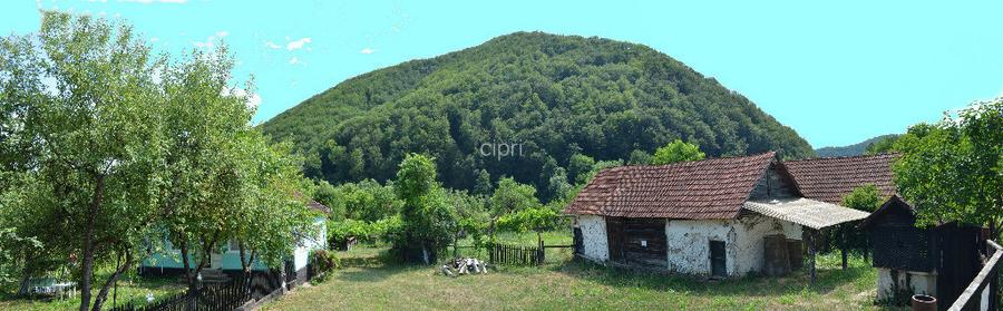 Casa ?araneasca sat Micane?ti (Zam-HD) cu anexe vechi tradi?ionale Casa ?araneasca sat Micane?ti (Zam-HD) cu anexe vechi tradi?ionale