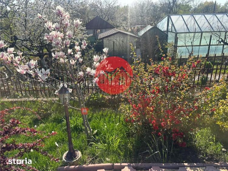 Afacere la cheie, Pensiune Tulcea 9 Mai cu deschidere la balta - 12