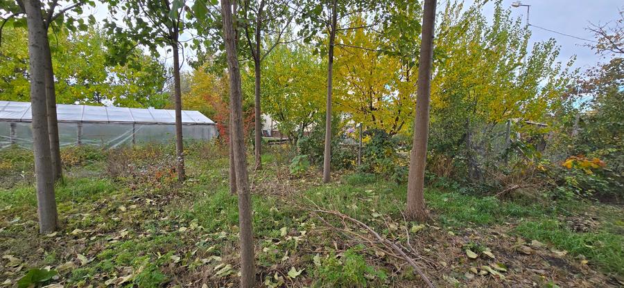 Teren  715  mp  intravilan Petresti - 14