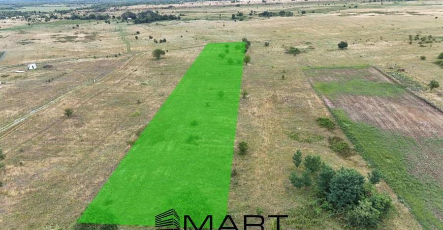 Teren intravilan 5000mp Valea Avrigului - 7