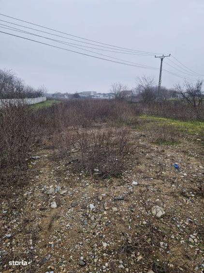 Teren de vanzare Malu Mare 1.250 mp intravilan - 3