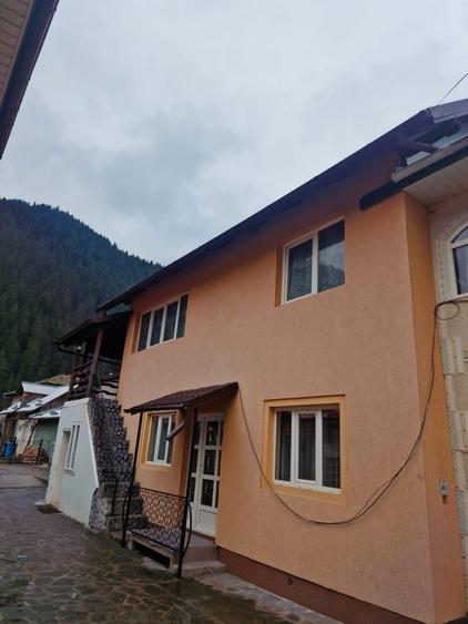 2 case de vanzare Lunca,com Borca - 3