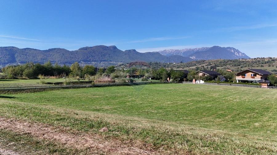 Comision 0% | Oportunitate de investitie | Tohanu Nou-Bran | Utilitati - 9