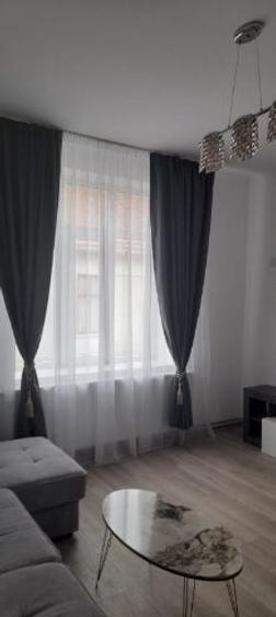 P.F.   Inchiriere apartament la casa lux ultracentral - 9