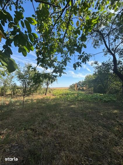 Casă cu 3 camere cu Teren 1741 Mp în Central