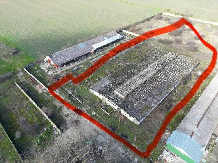 Ansamblu hale 4000mp pe teren 10.000 cu platforma betonata - 4