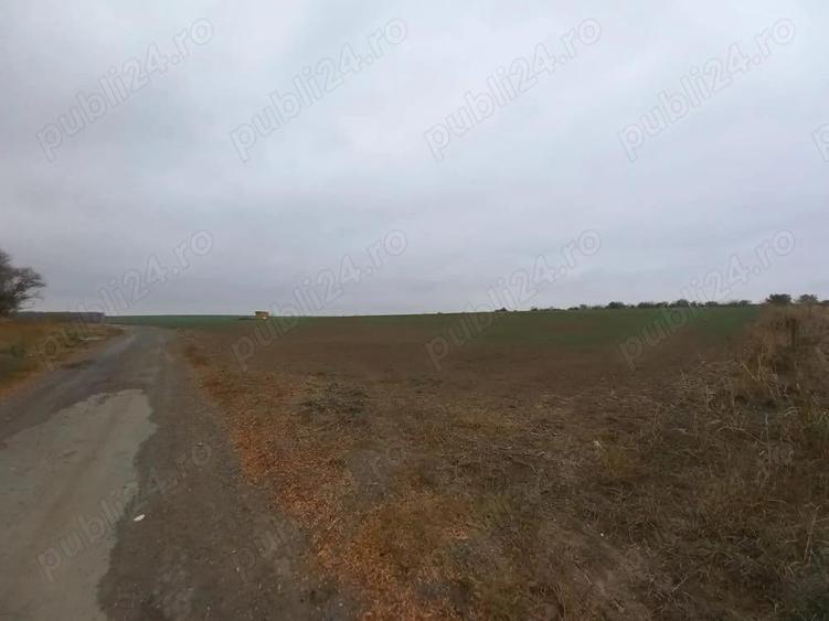 Teren de vanzare in Valu Lui Traian, Cartierul Nou - 403 mp - 2