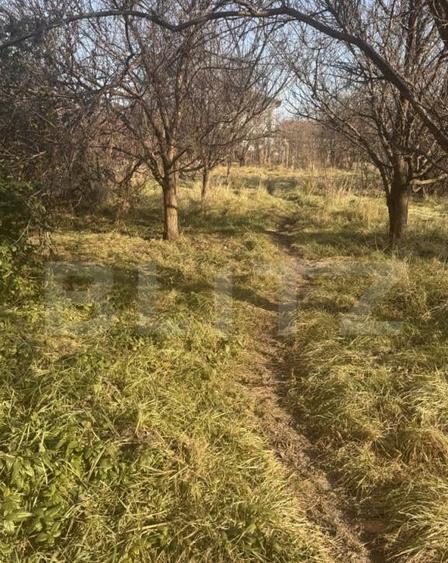 Casa individuala, 7 camere, 217 mp, 624 mp teren, zona Frate - 11