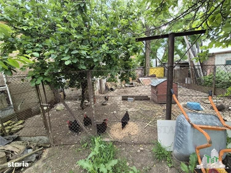 Casă cu 4 camere cu Teren 446 Mp în Chiajna