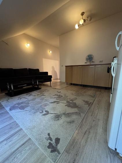 Apartament cu 2 camere nedecomandat în Albești