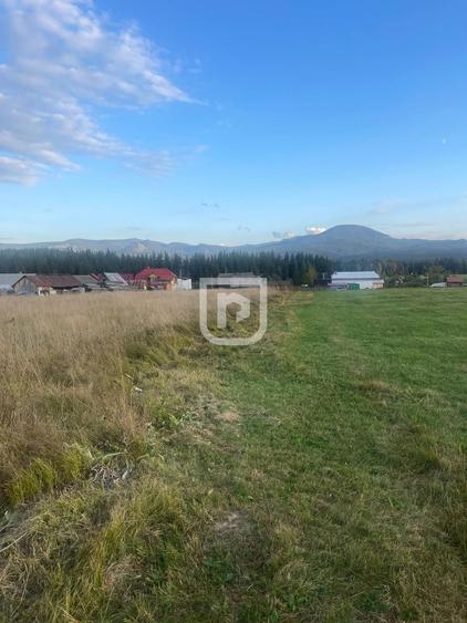 Teren Construcții intravilan de 5740 mp, în Poiana Stampei
