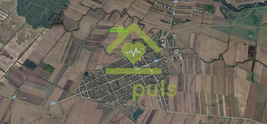 Teren Construcții intravilan de 20200 mp, în Bucovăț (Remetea Mare)