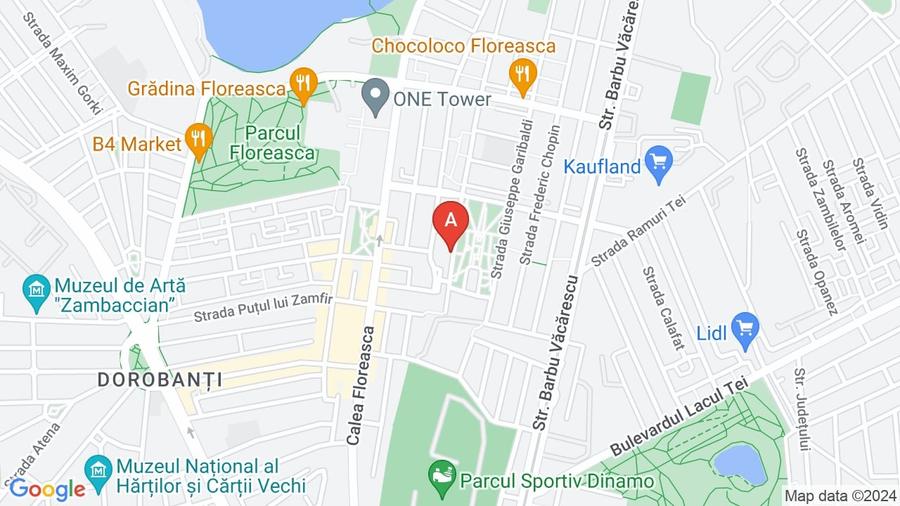 Apartament Floreasca -  vedere parc - 9