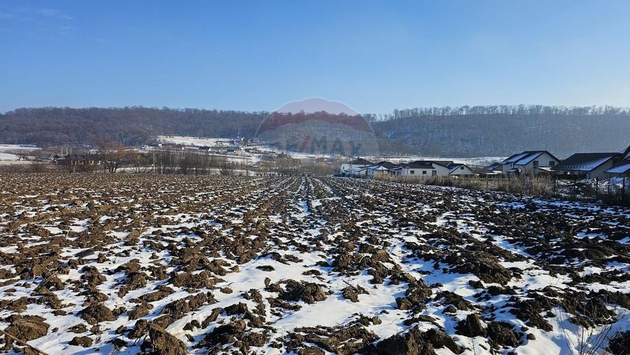 Teren intravilan 2200mp, Suceava / DJ208D - 6