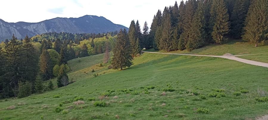 Vanzare teren 900 mp/25 ml toate utilitatile, Predeal laga Cabana Trei Brazi - 2