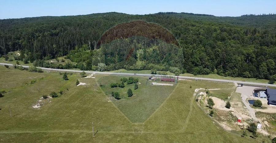 Teren 5,561mp Paltinoasa / Strada principala - 9